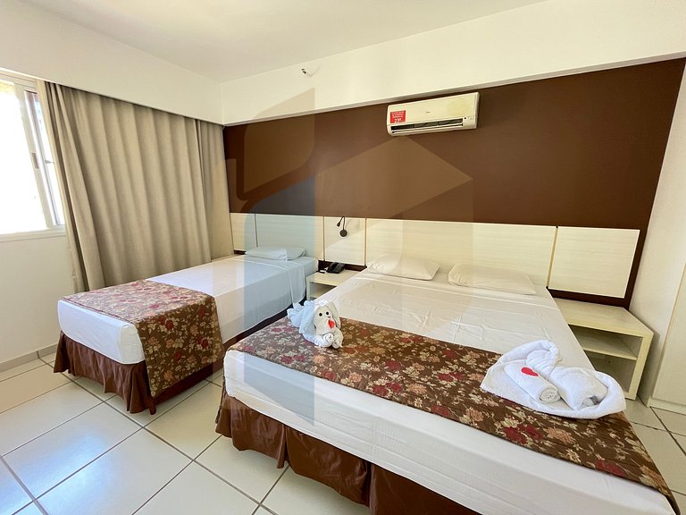 Le jardin - Hortência