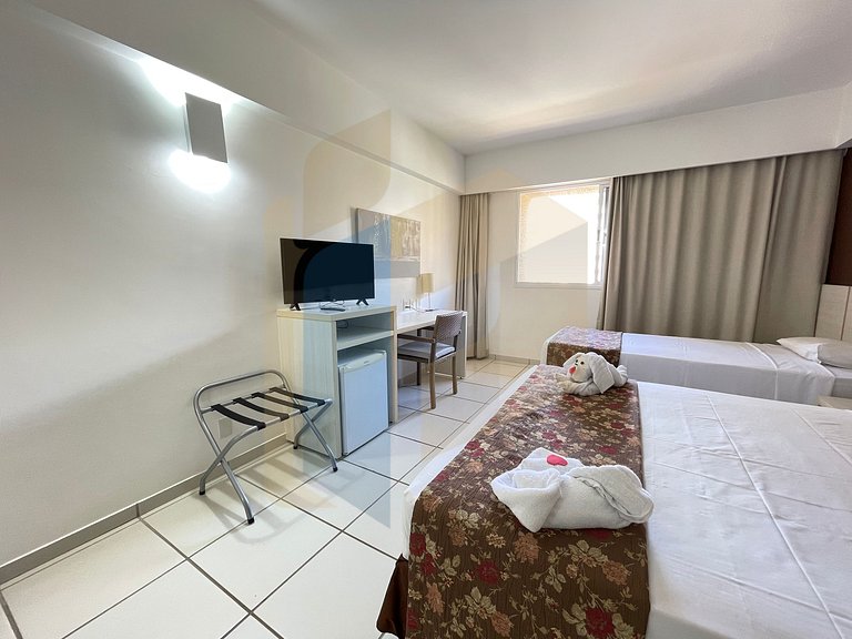 Le jardin - Hortência