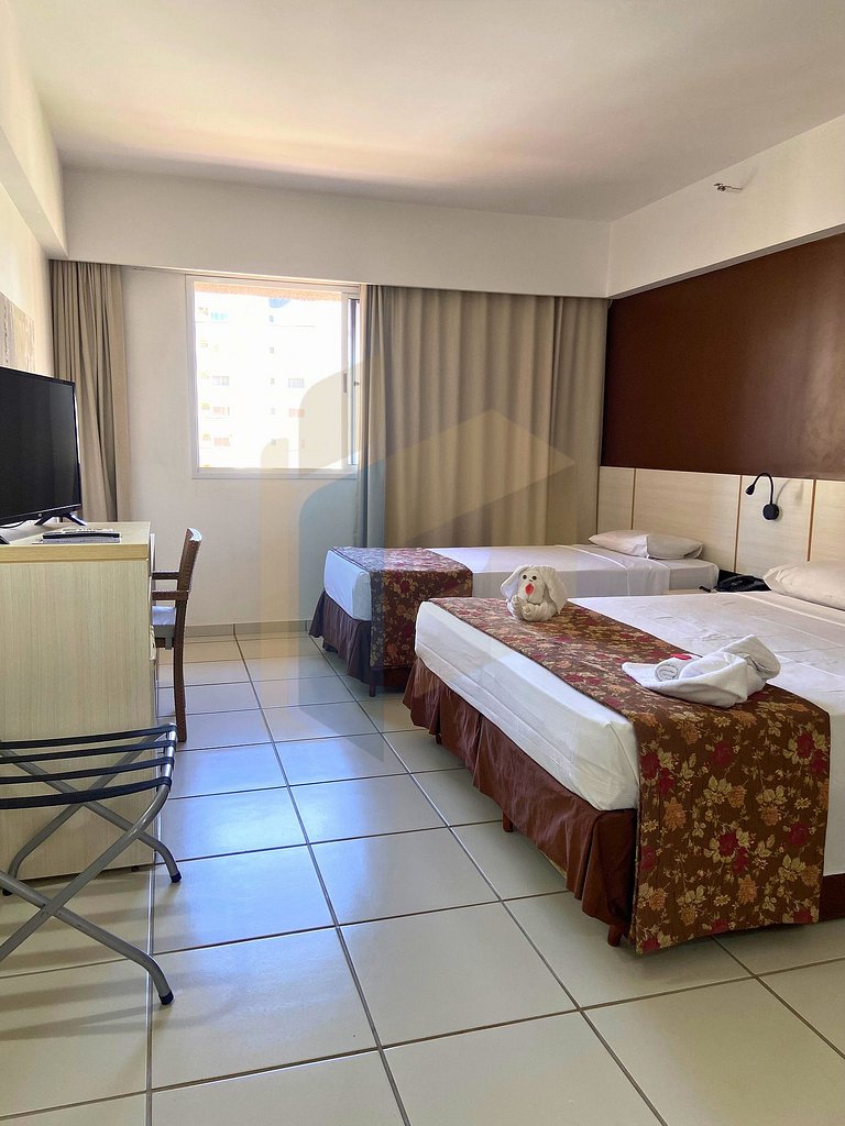 Le jardin - Hortência