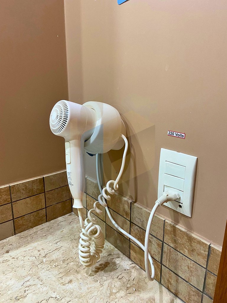 Le jardin - Hortência