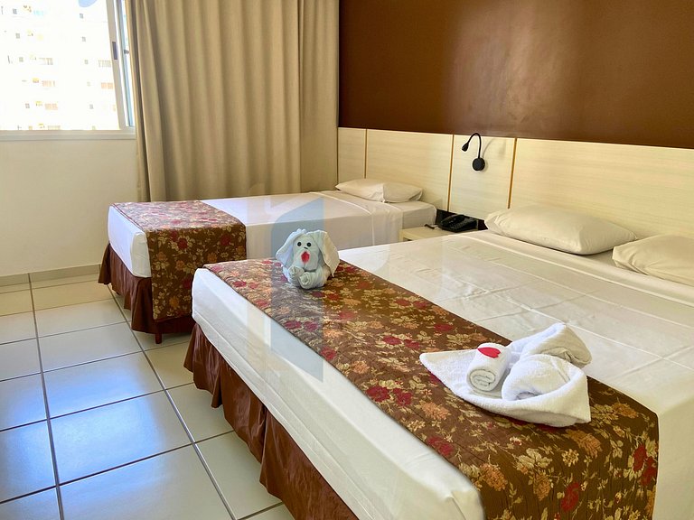 Le jardin - Hortência