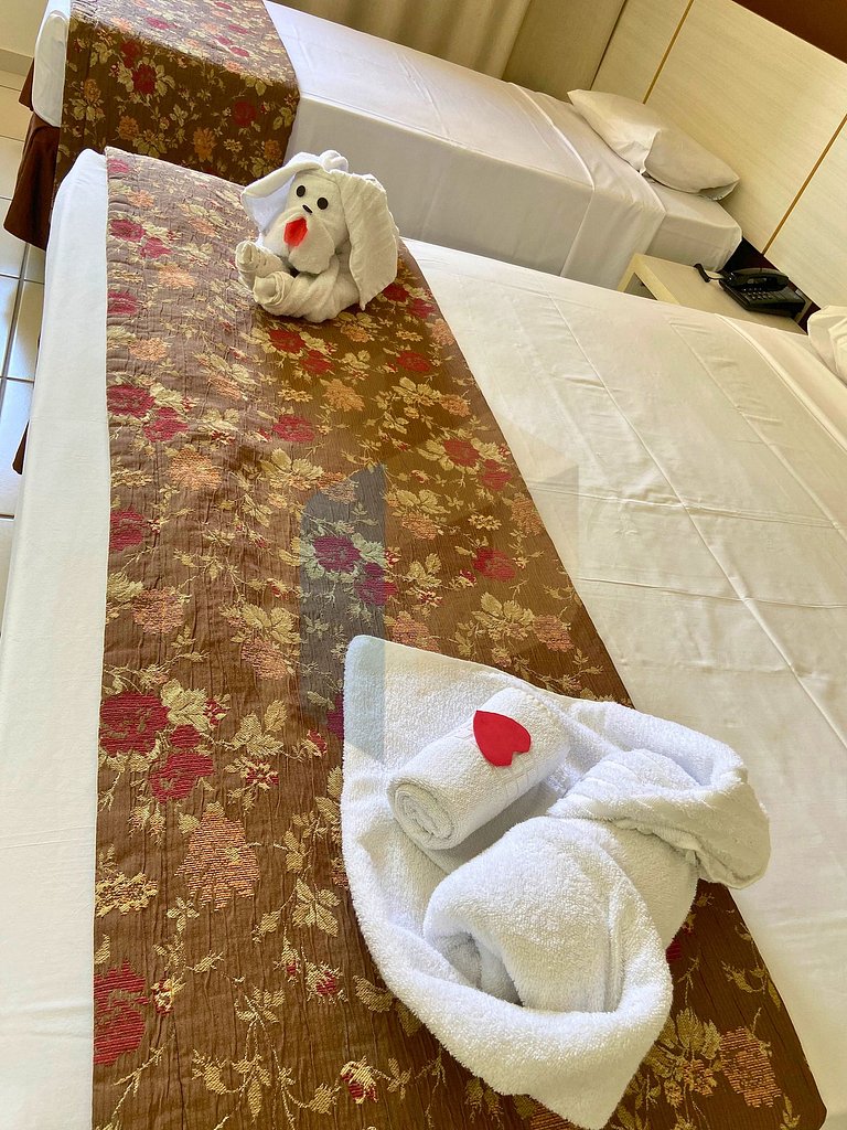 Le jardin - Hortência