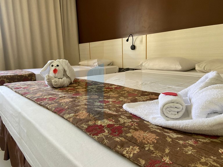 Le jardin - Hortência