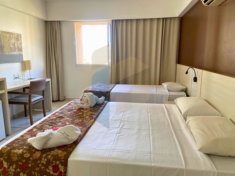 Le jardin - Hortência